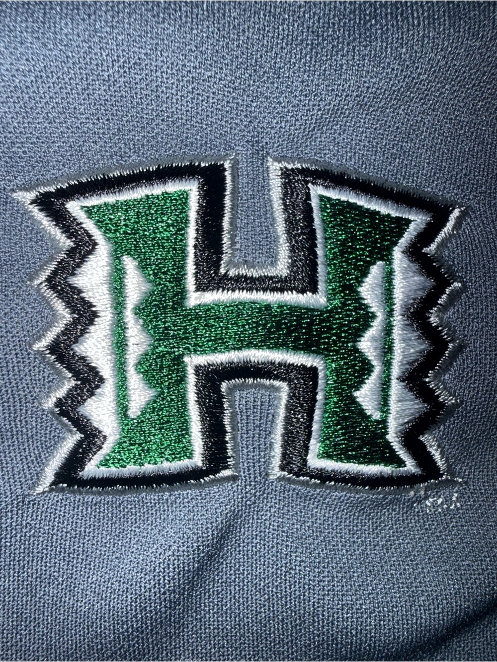 Champion Gray Sweatshirt with Green and White 'H' Patch